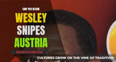 Austria's Blush: Wesley Snipes and the Art of Embarrassment