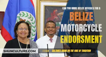 Bribery for a Belize Motorcycle Endorsement: Does it Work?