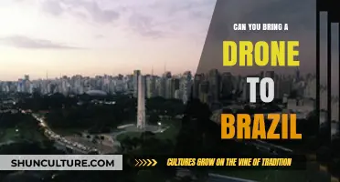 Bringing a Drone to Brazil: Rules, Regulations, and Travel Tips