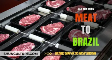 Traveling to Brazil? Learn the Rules for Bringing Meat into the Country