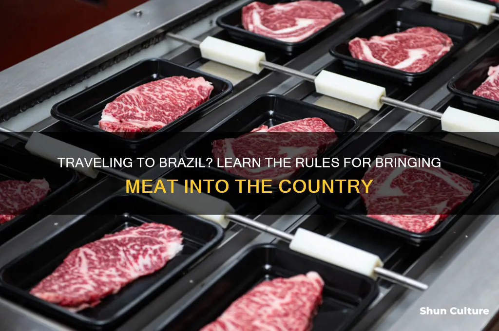 can you bring meat to brazil