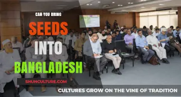 Bringing Seeds to Bangladesh: Rules, Regulations, and What You Need to Know