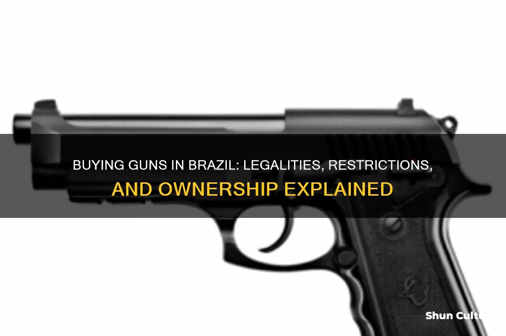 can you buy a gun in brazil