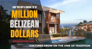 Belizean Dream: Buying a Home for 12 Million Dollars