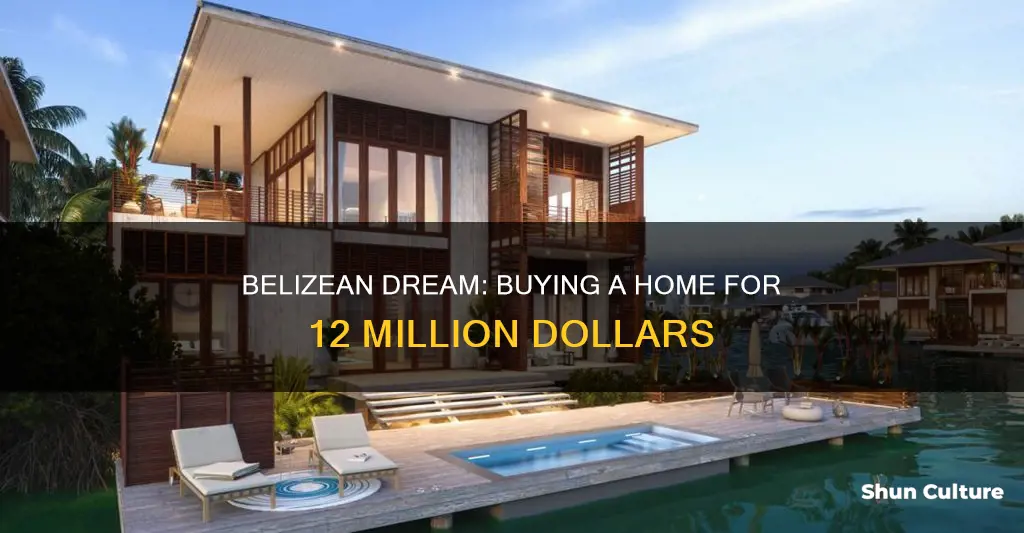 can you buy a house to 12 million belizean dollars