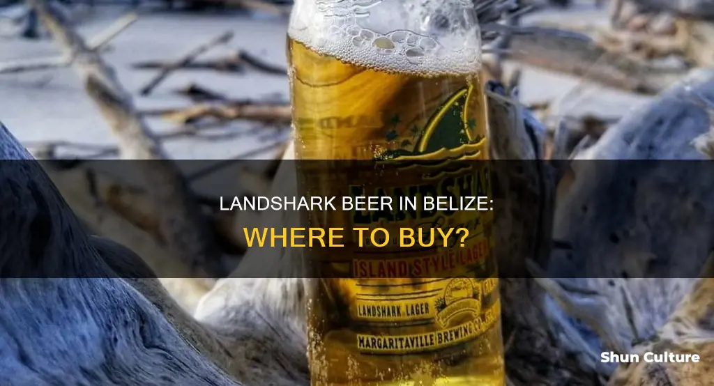 can you buy a landshark beer in belize