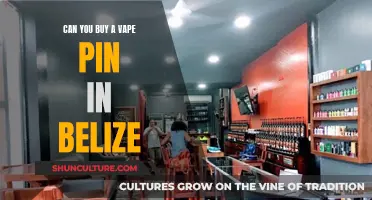 Vape Laws in Belize: Can You Buy and Use Them?