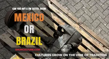 Buying a VW Beetle: Mexico or Brazil Options Explored