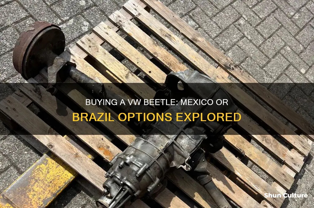 can you buy a vw bettel from mexico or brazil