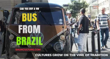 Buying a VW Bus from Brazil: What You Need to Know