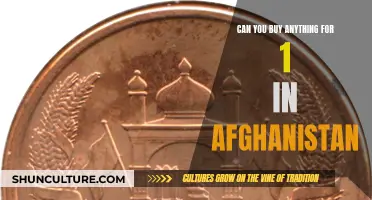 A Dollar's Worth in Afghanistan: Exploring Purchasing Power Parity