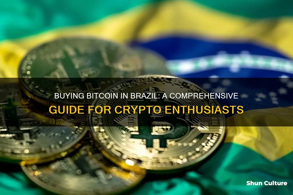 can you buy bitcoin in brazil