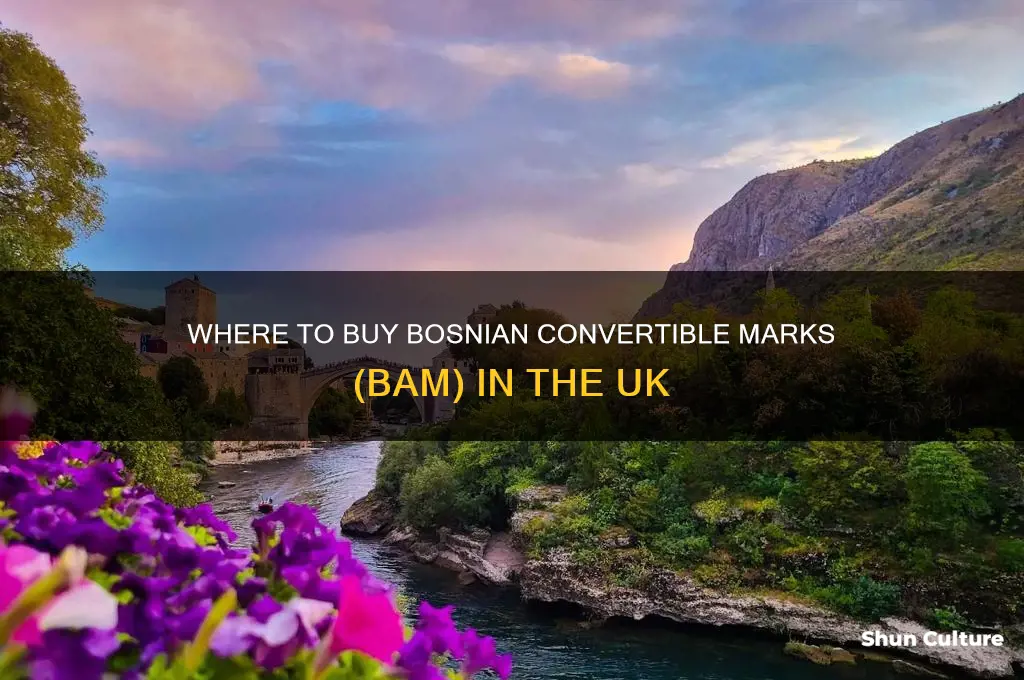can you buy bosnian currency in uk