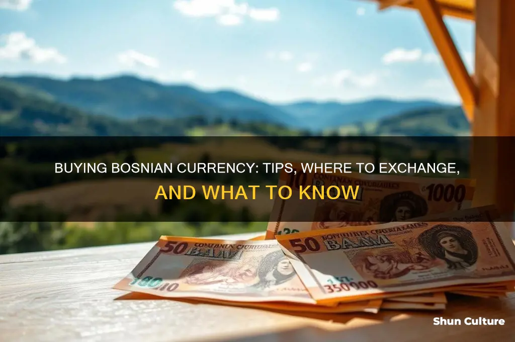 can you buy bosnian currency