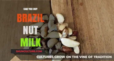 Where to Find Brazil Nut Milk: A Comprehensive Buying Guide