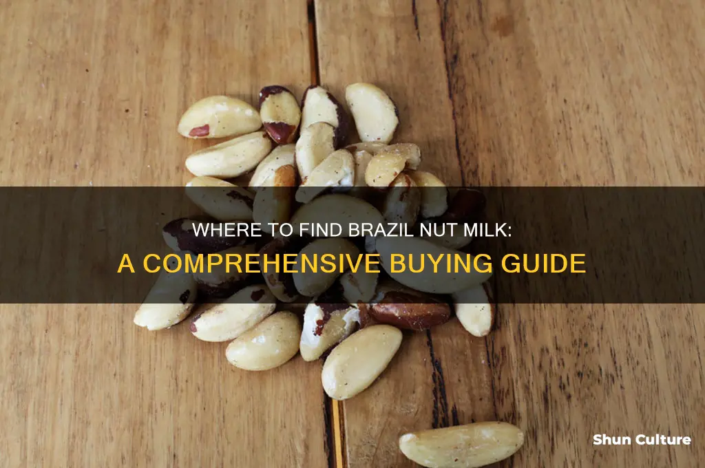 can you buy brazil nut milk
