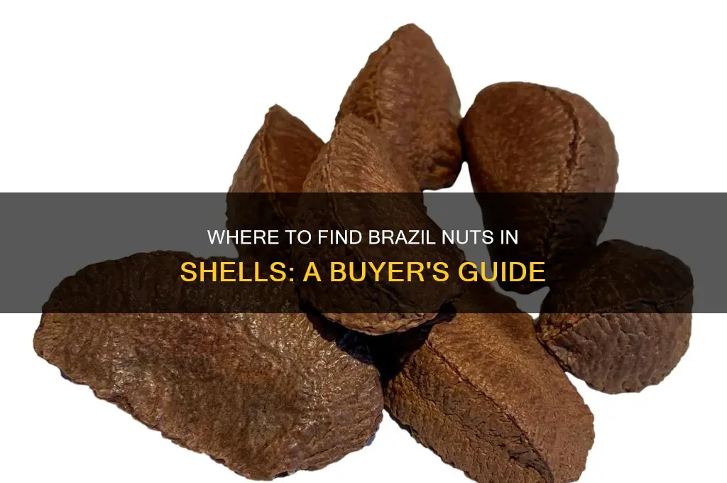 can you buy brazil nuts in shells