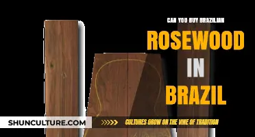 Is Brazilian Rosewood Available for Purchase in Brazil?