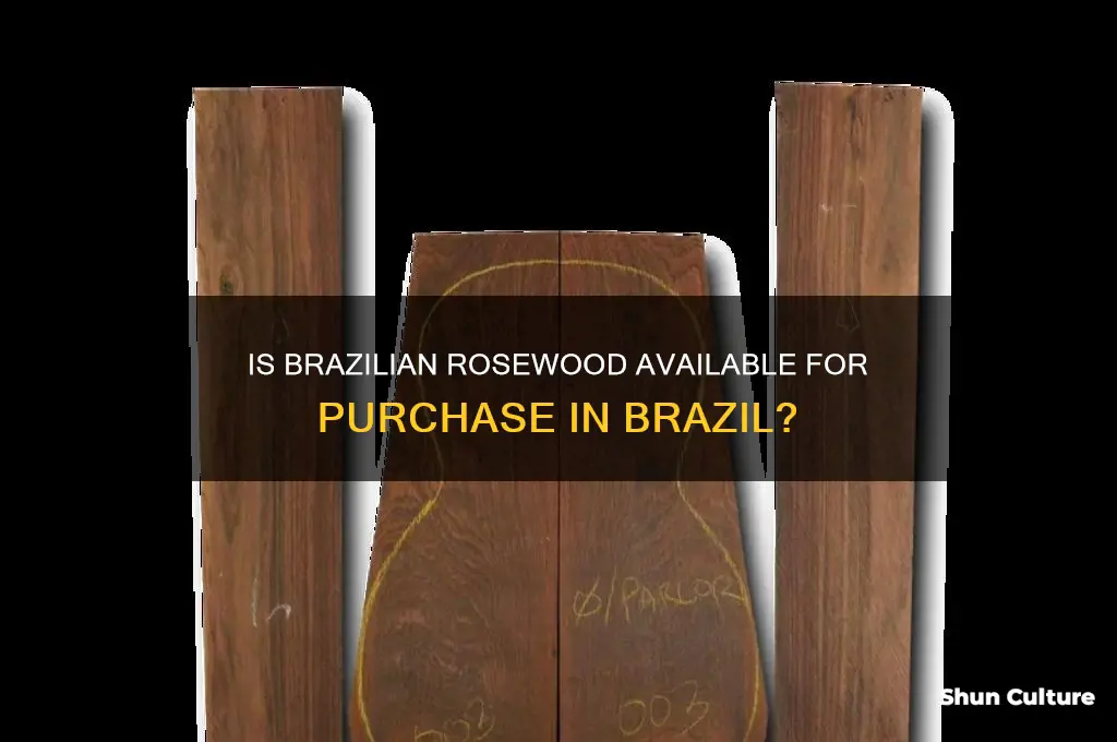 can you buy brazilian rosewood in brazil
