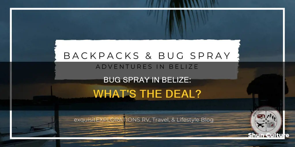 can you buy bug spray in belize