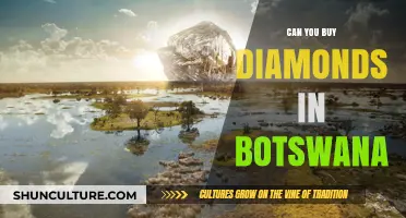 Exploring Botswana's Diamond Market: Where and How to Buy Gems