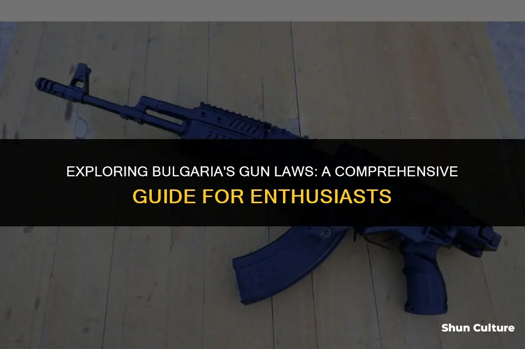 can you buy guns in bulgaria