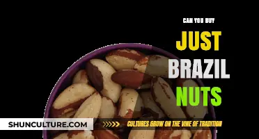 Where to Buy Brazil Nuts Individually: A Shopper's Guide