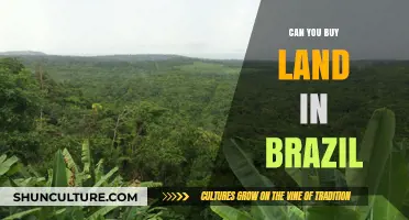 Buying Land in Brazil: Legal Requirements, Costs, and Ownership Process