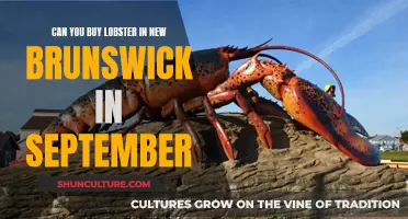 Lobster Availability in New Brunswick, September