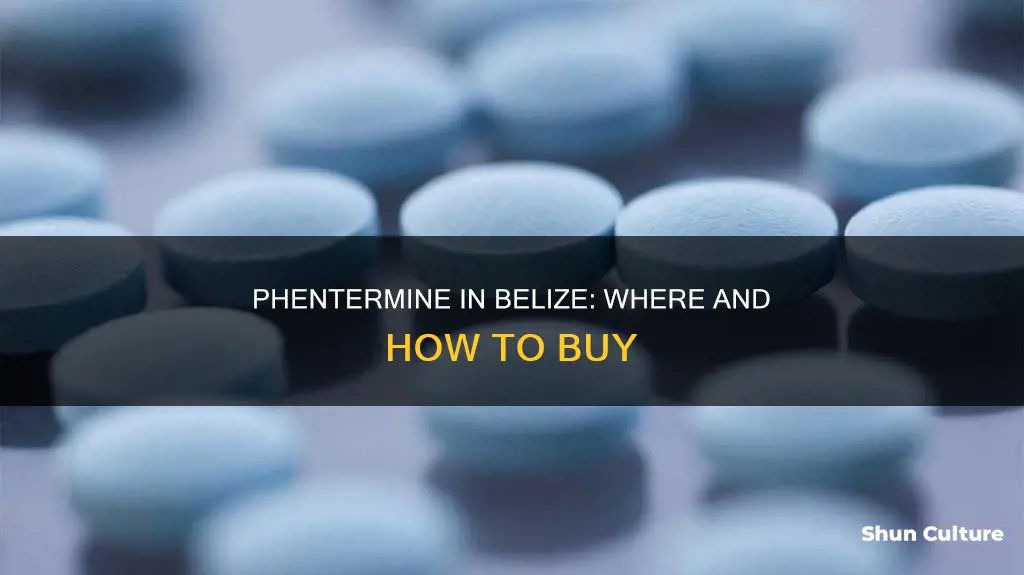 can you buy phentermine in belize