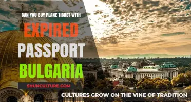 Flying with an Expired Passport: What You Need to Know for Bulgaria Travel