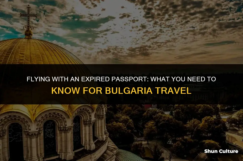 can you buy plane ticket with expired passport bulgaria