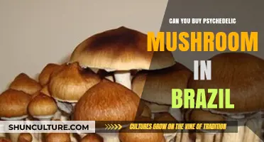 Exploring Brazil's Psychedelic Mushroom Laws: Legal or Off-Limits?