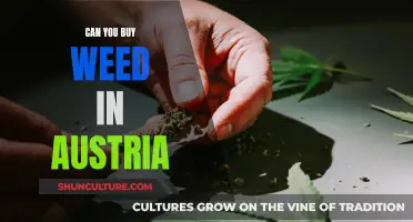 Weed in Austria: What's the Legal Status?