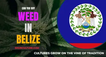 Weed in Belize: What's the Deal?