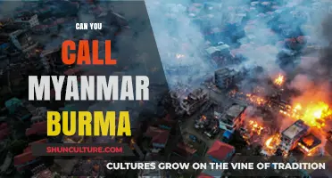 Myanmar or Burma? Understanding the Name Change Controversy