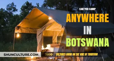 Exploring Botswana's Wilderness: Where Can You Camp Freely and Safely?