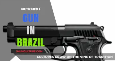 Brazil's Gun Laws: Can You Legally Carry a Firearm?