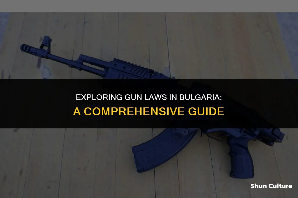 can you carry a gun in bulgaria
