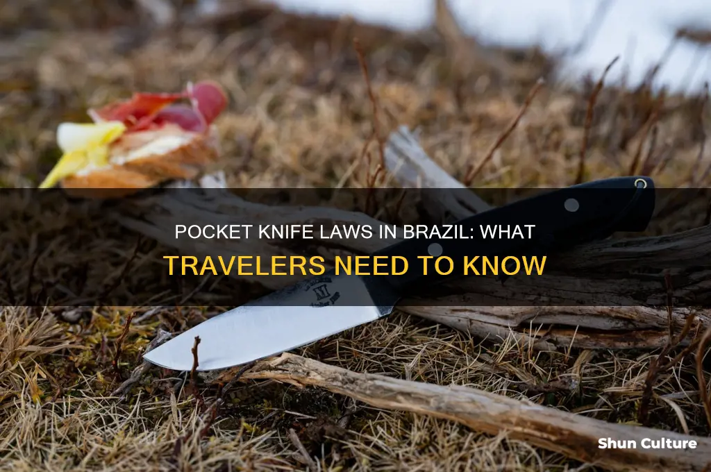 can you carry a pocket knife in brazil