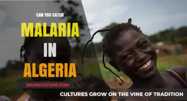 Malaria Risk in Algeria: What Travelers Need to Know