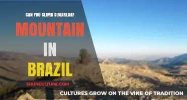 Climbing Sugarloaf Mountain: A Brazilian Adventure Guide and Tips