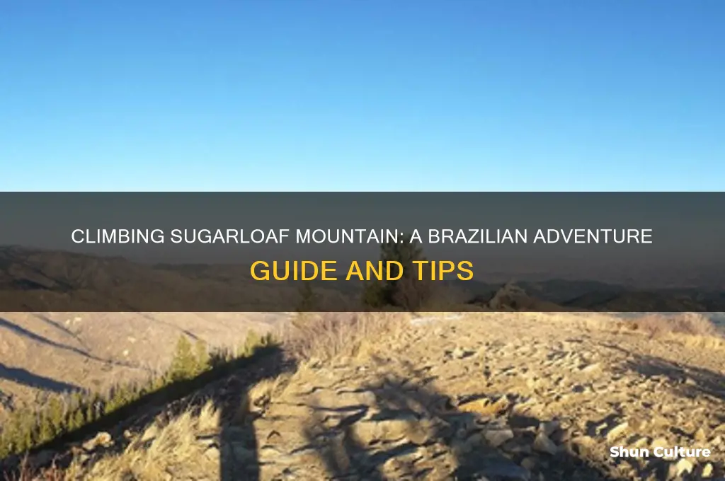 can you climb sugarloaf mountain in brazil