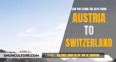 Exploring the Alps: Austria to Switzerland Trek