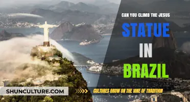 Climbing Christ the Redeemer: Exploring Brazil's Iconic Statue Up Close