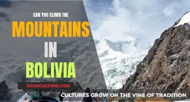 Exploring Bolivia's Mountains: Scaling the Heights