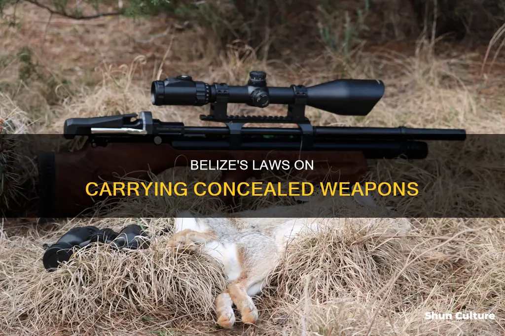 can you conceal carry in belize