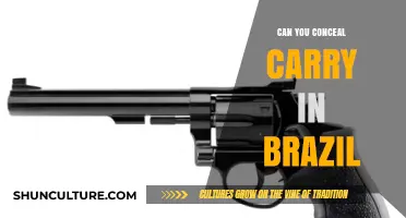 Concealed Carry in Brazil: Laws, Restrictions, and What You Need to Know