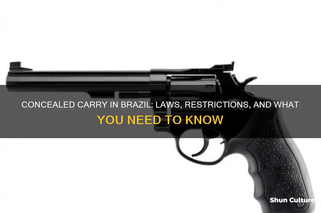 can you conceal carry in brazil