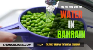 Cooking with Tap Water in Bahrain: Safe or Not?